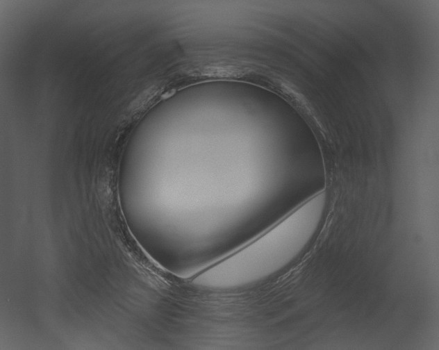 X0000052960305200507080903