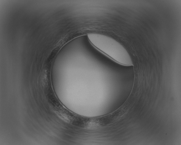 X0000052960308200507080903