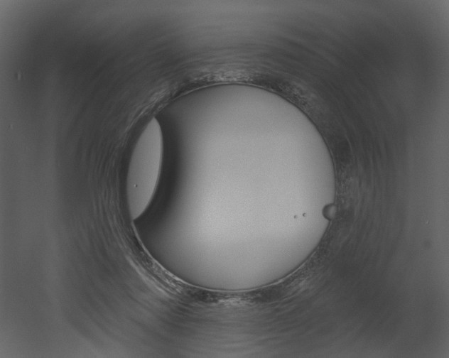 X0000052960310200507080903