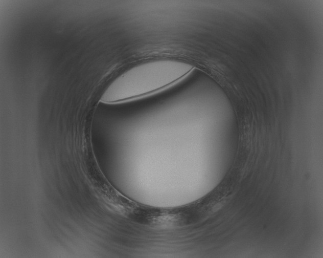 X0000052960312200507080903