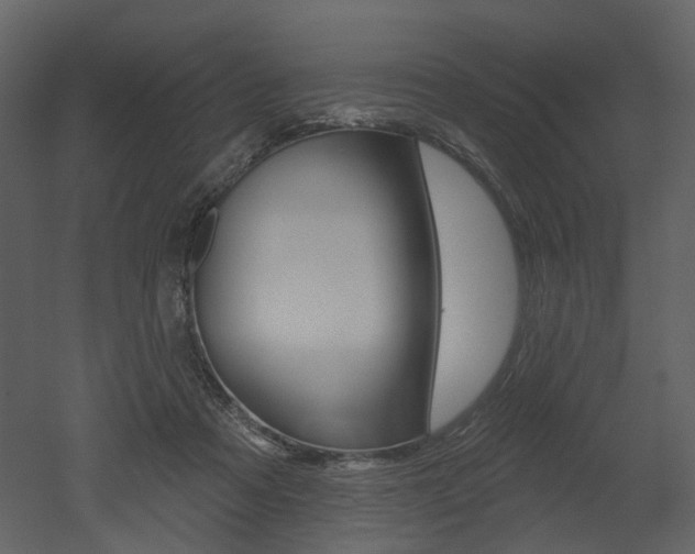 X0000052960313200507080903