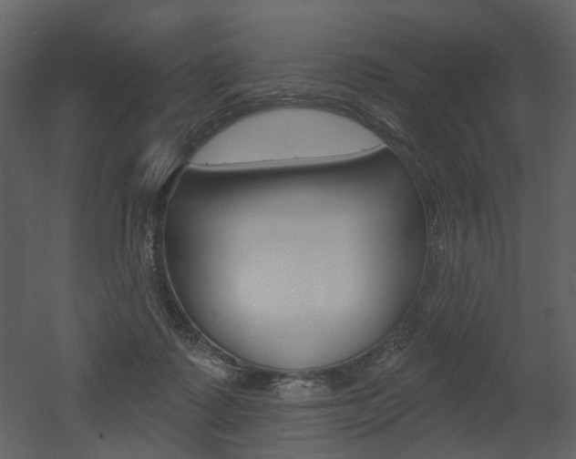 X0000052960315200507080903