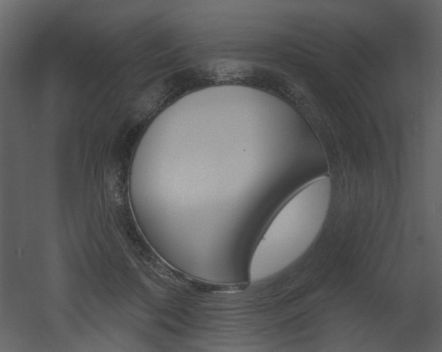 X0000052960316200507080903