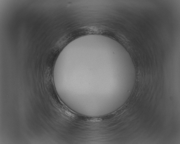 X0000052960318200507080902