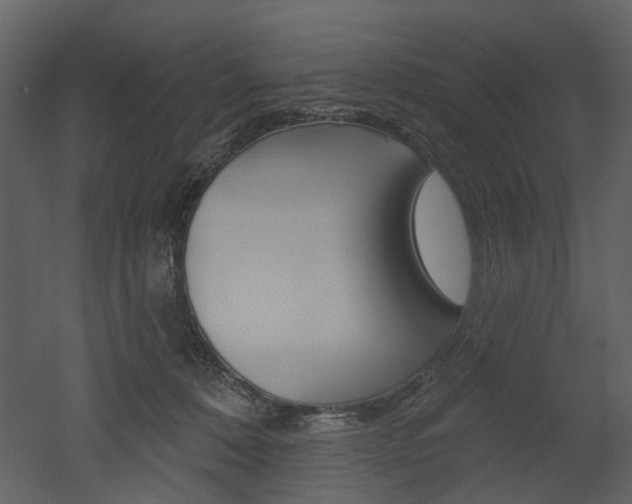 X0000052960320200507080902