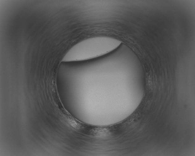 X0000052960322200507080902
