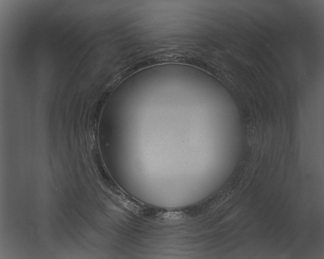 X0000052960324200507080902