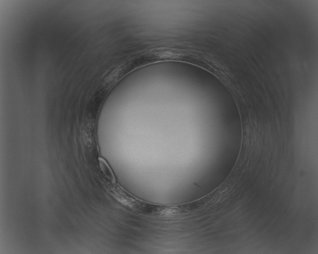 X0000052960325200507080902