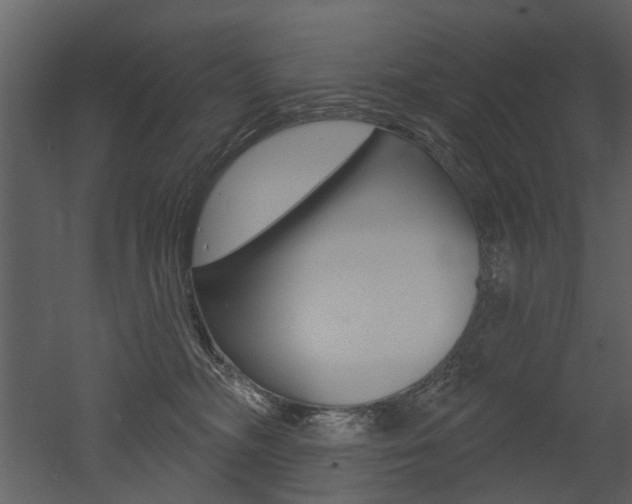 X0000052960326200507080902