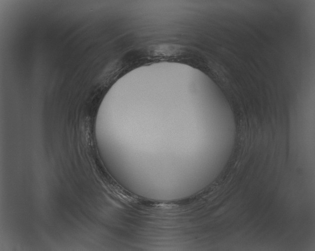X0000052960328200507080902