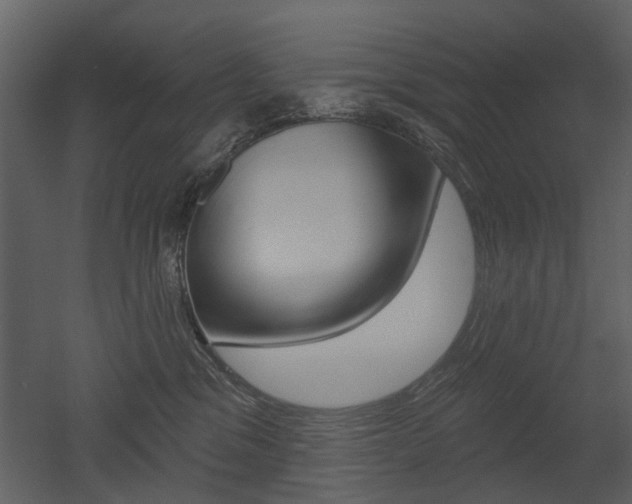 X0000052960329200507080902