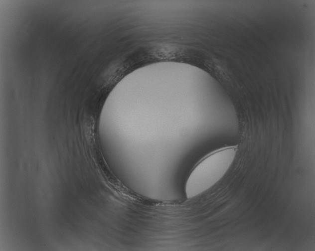 X0000052960332200507080902