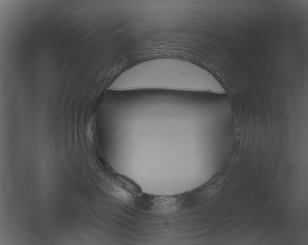 X0000052960334200507080902