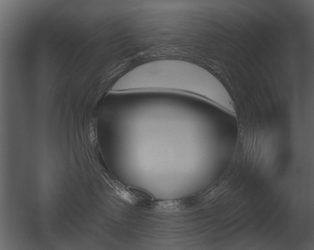 X0000052960335200507080902