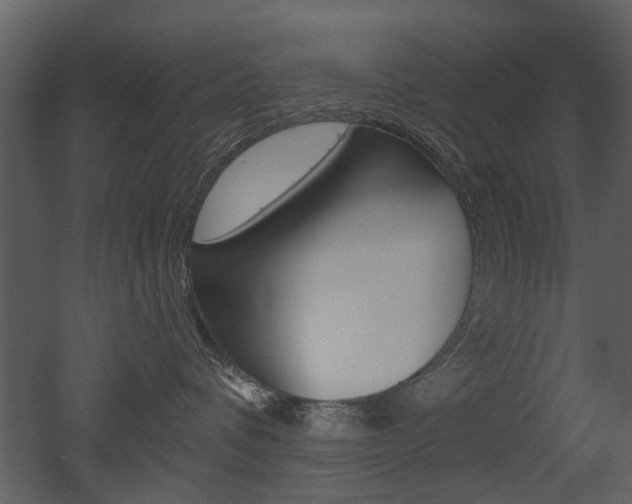 X0000052960336200507080902