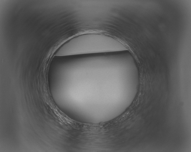 X0000052960337200507080901