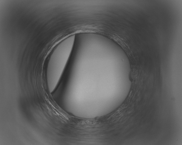X0000052960338200507080901