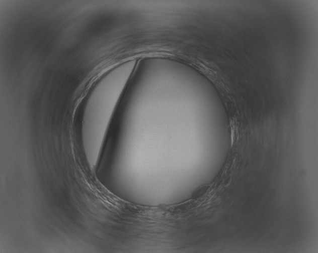 X0000052960339200507080901