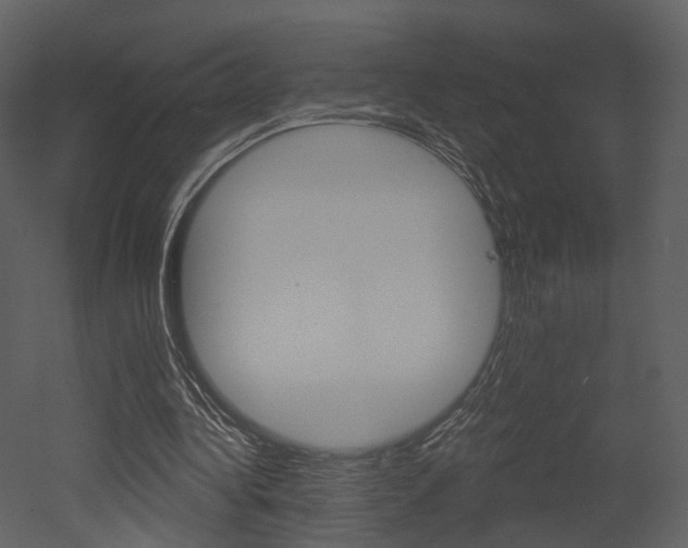 X0000052960340200507080901