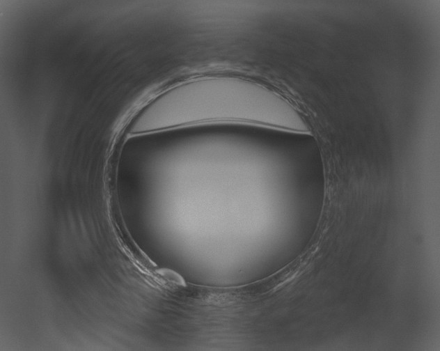 X0000052960341200507080901