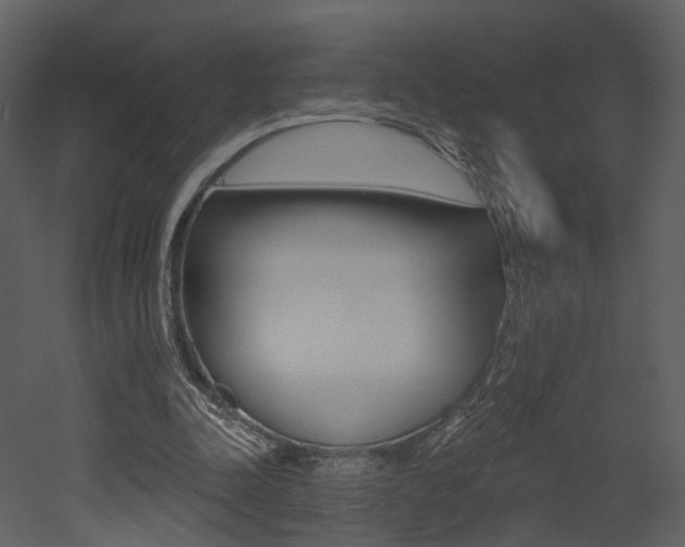 X0000052960342200507080901
