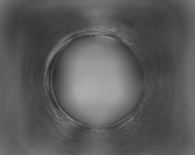 X0000052960343200507080901
