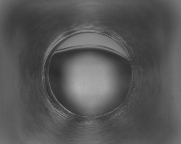 X0000052960344200507080901