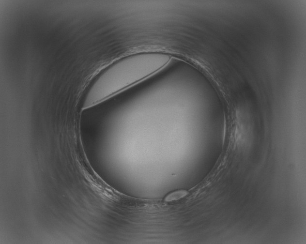 X0000052960345200507080902
