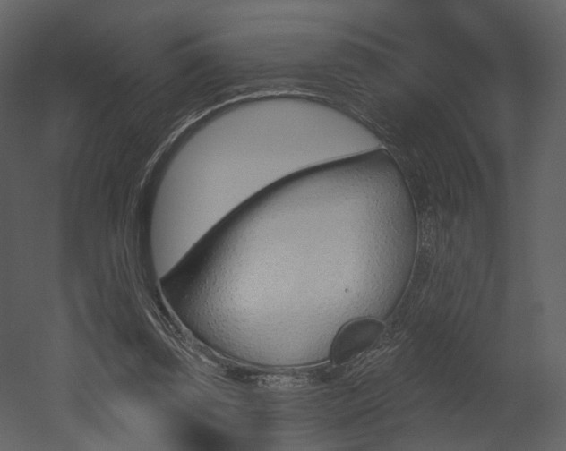X0000052960347200507080902