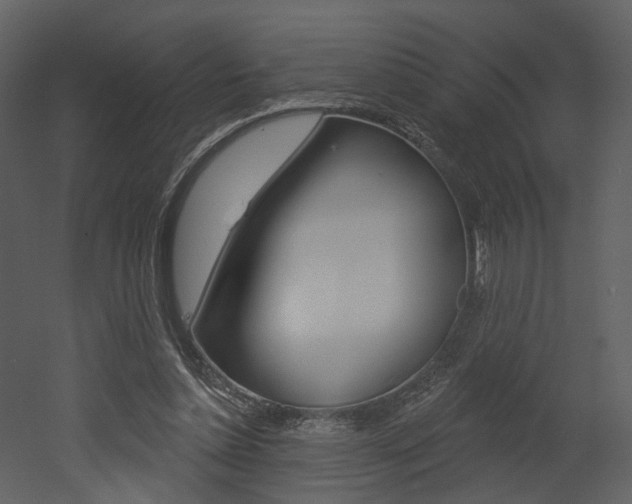 X0000052960348200507080902