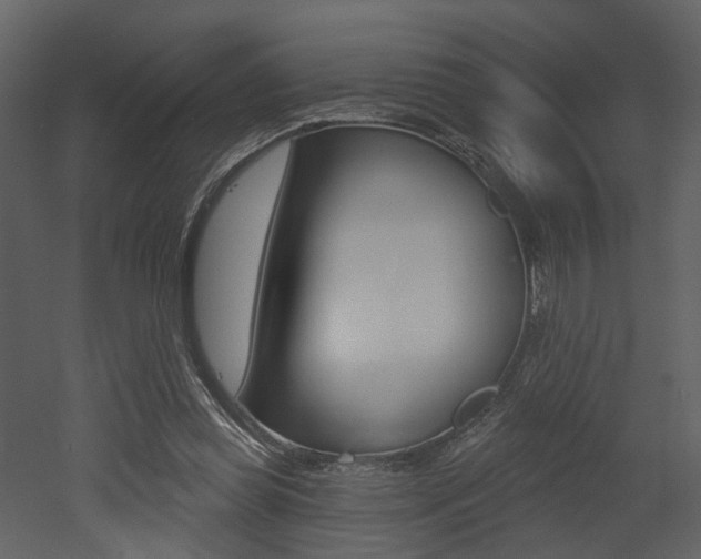 X0000052960349200507080902