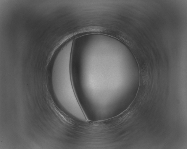 X0000052960350200507080902