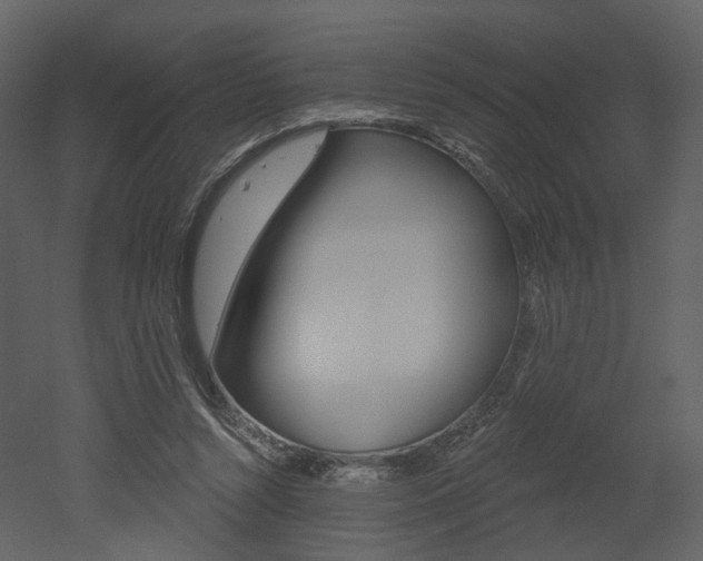 X0000052960352200507080902