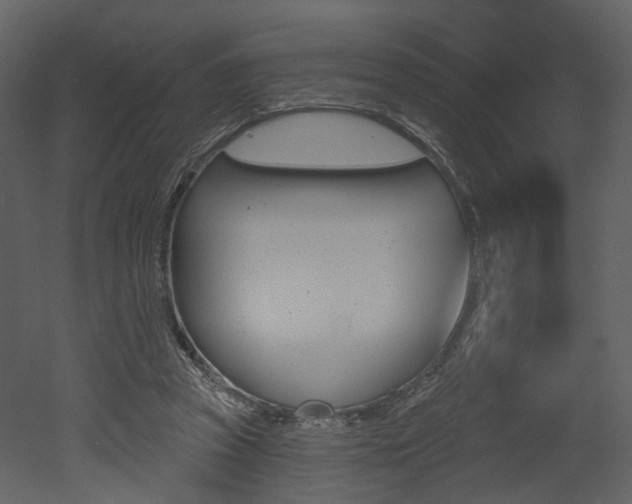 X0000052960353200507080902