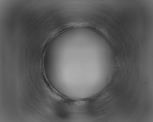 X0000052960357200507080902