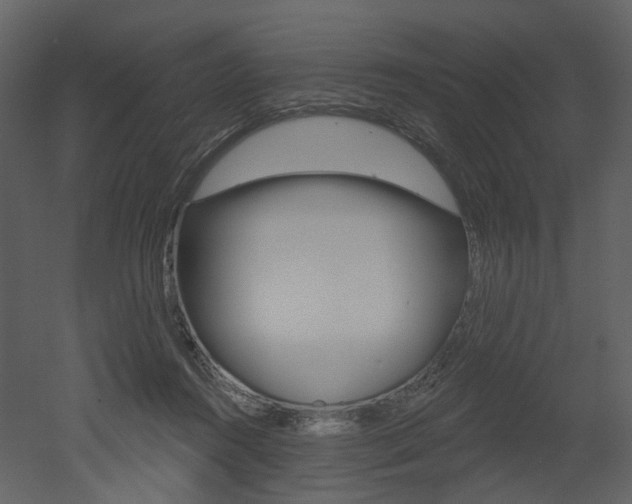 X0000052960360200507080902