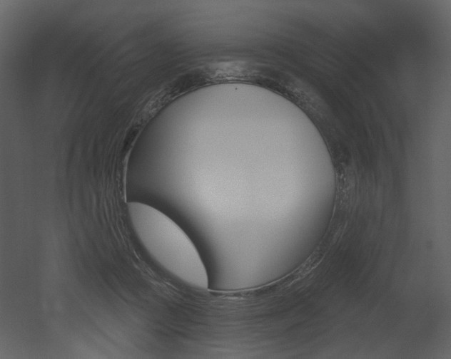 X0000052960361200507080902