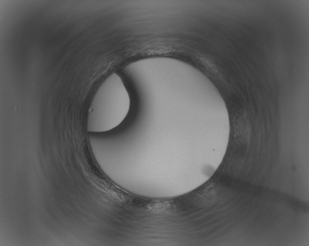 X0000052960362200507080902