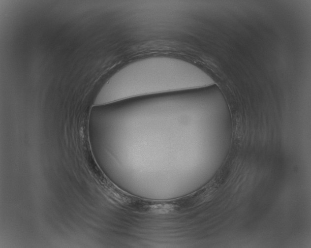 X0000052960363200507080902