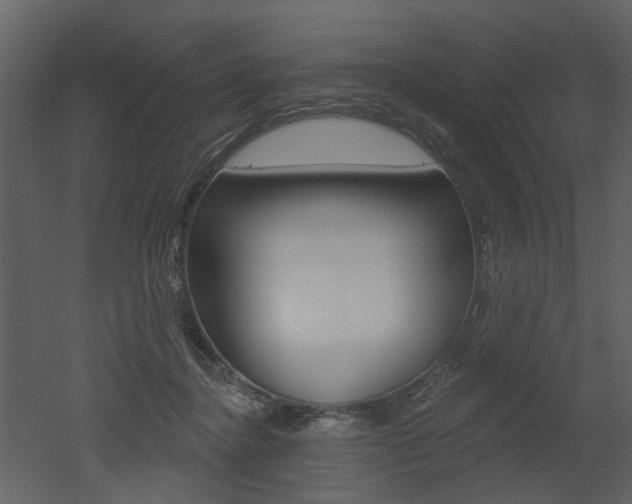 X0000052960364200507080902