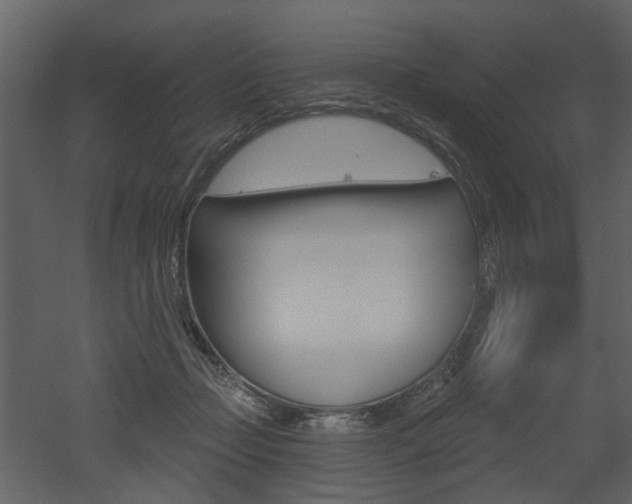X0000052960365200507080902