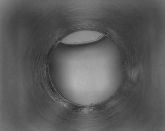 X0000052960366200507080902