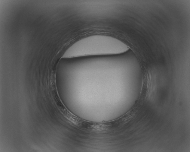 X0000052960367200507080902