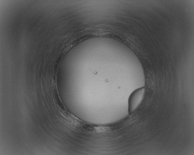 X0000052960371200507080902