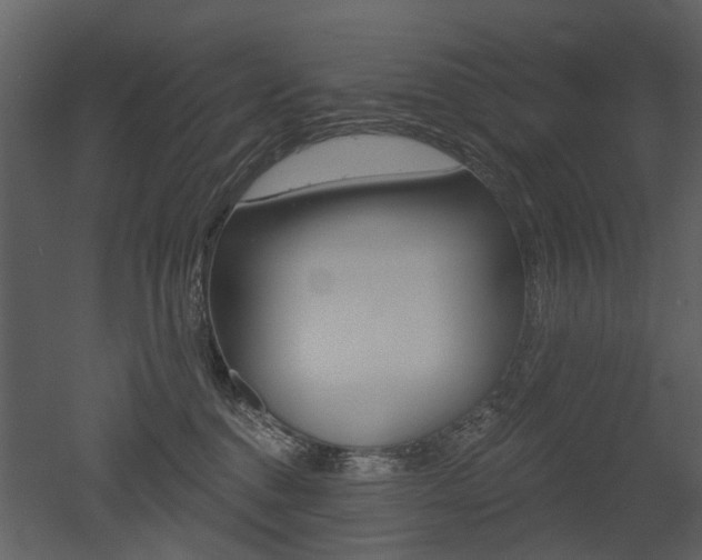 X0000052960376200507080902