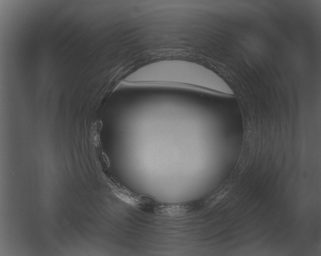 X0000052960383200507080902