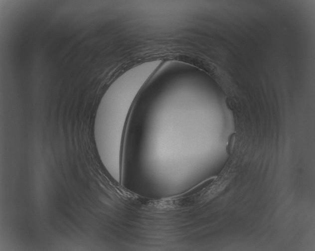 X0000052960384200507080902
