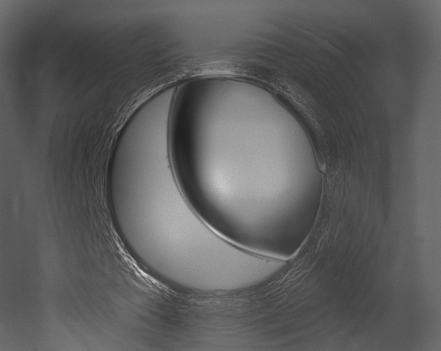 X0000052960385200507080901