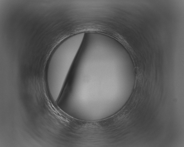 X0000052960386200507080901