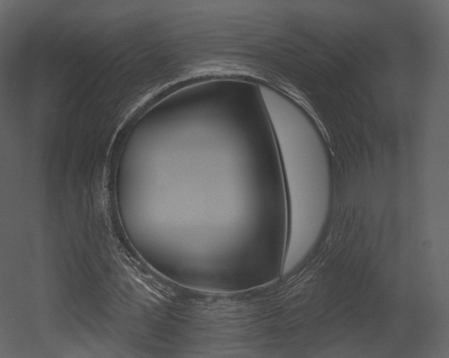 X0000052960387200507080901